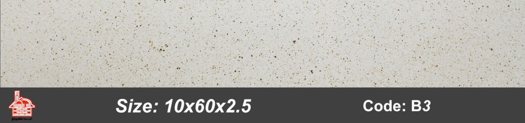 B3-10x60