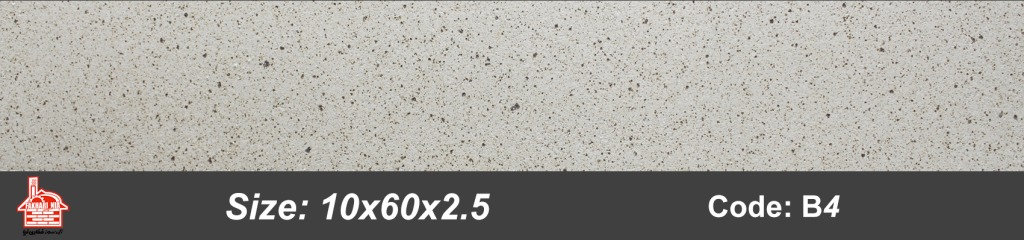 B4-10x60